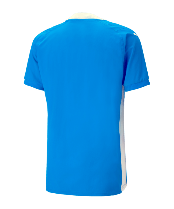 PUMA teamCUP Trikot Blau F02 - blau
