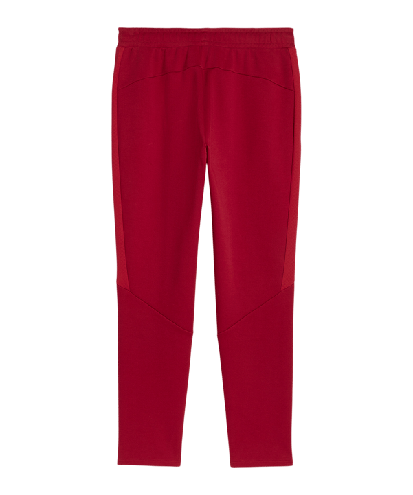 PUMA Galatasaray Istanbul Evostripe Hose Rot F01 - rot