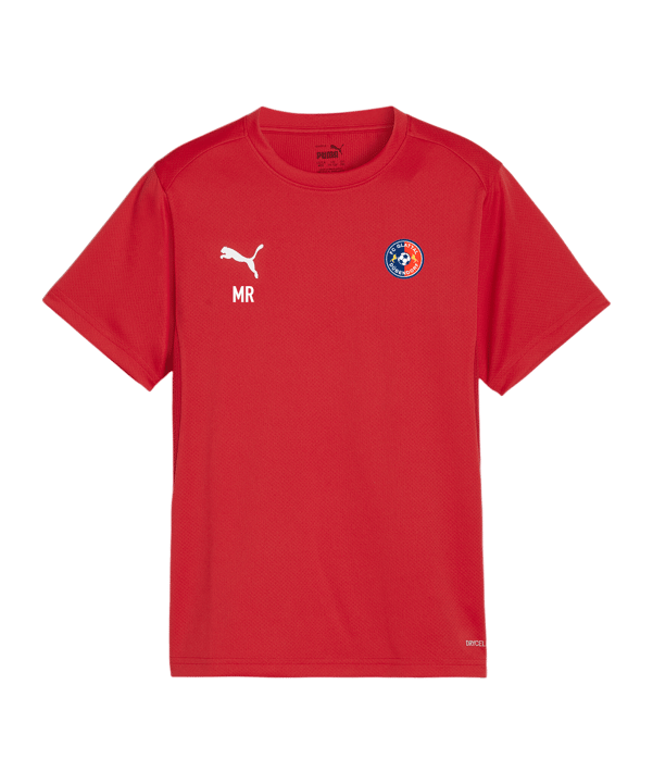 PUMA teamGOAL Trikot Kids Rot F01