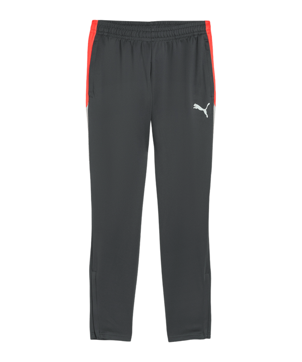 PUMA Individualliga Trainingshose Grau F10 - grau