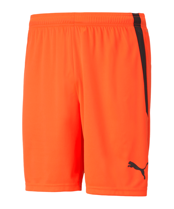 PUMA teamLIGA Short Rot Schwarz F45 - rot
