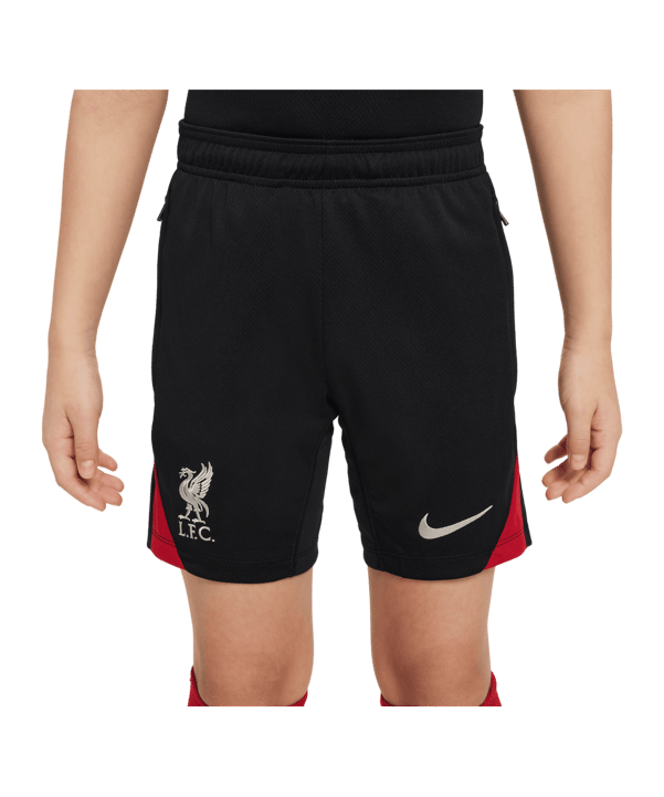 Nike FC Liverpool Trainingsshort Kids Schwarz F010 - grau