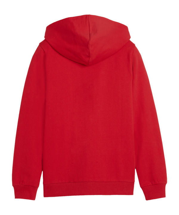 PUMA teamGOAL Casuals Kapuzenjacke Kids Rot F01 - rot