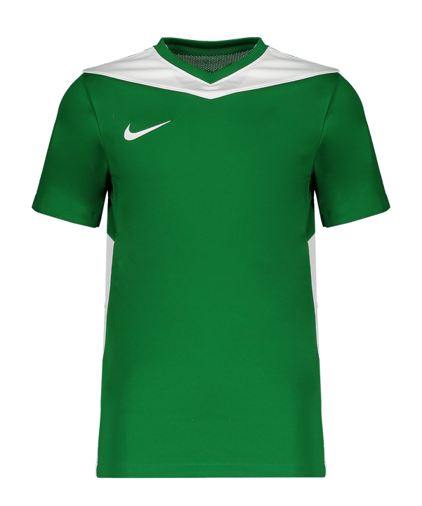 Nike Park Derby IV Trikot Kids Grün F302 - gruen