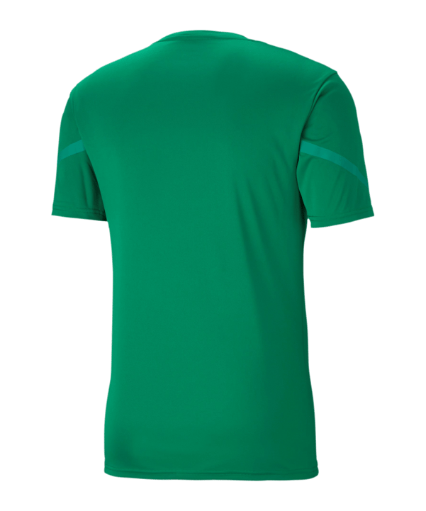 PUMA teamFLASH Trikot Kids Grün F05 - gruen