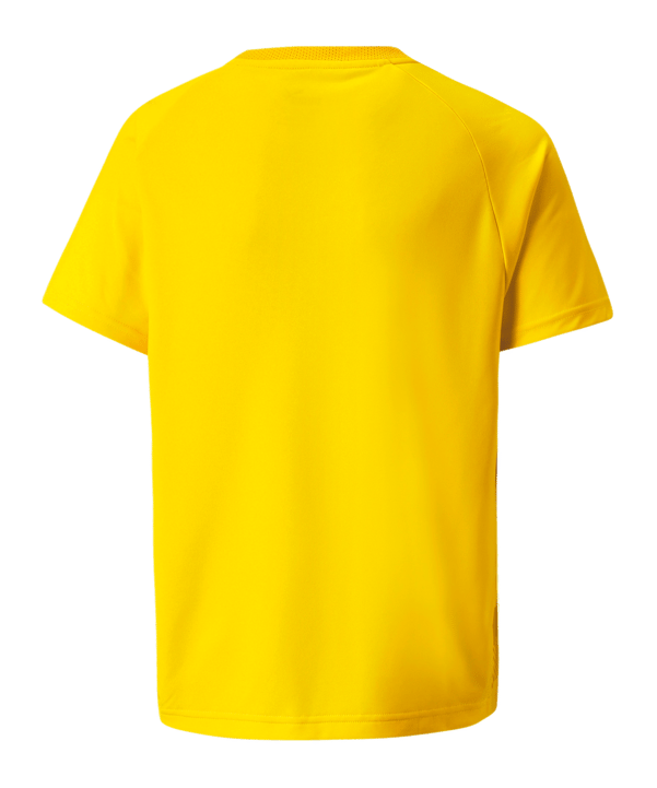 PUMA teamVISION Trikot Kids Gelb F07 - gelb