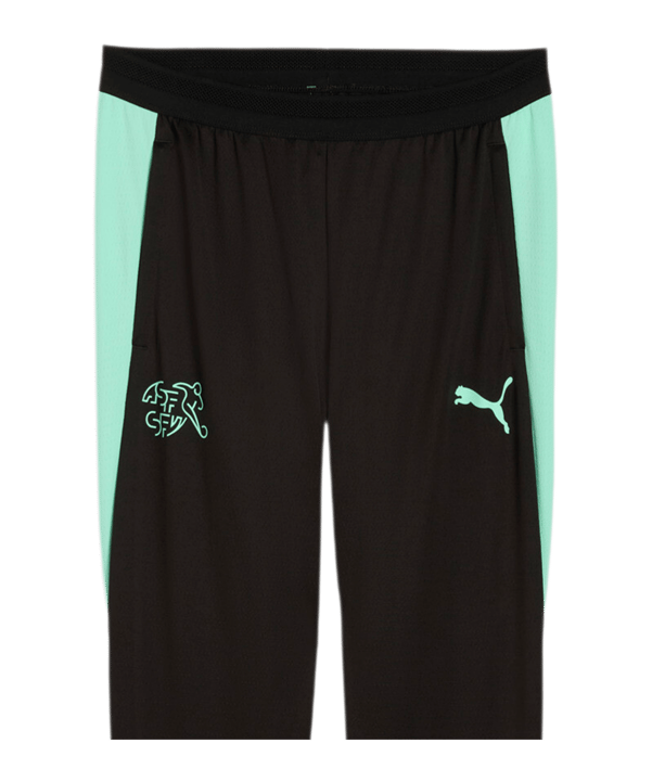 PUMA SFV Schweiz Trainingshose Schwarz F10 - schwarz