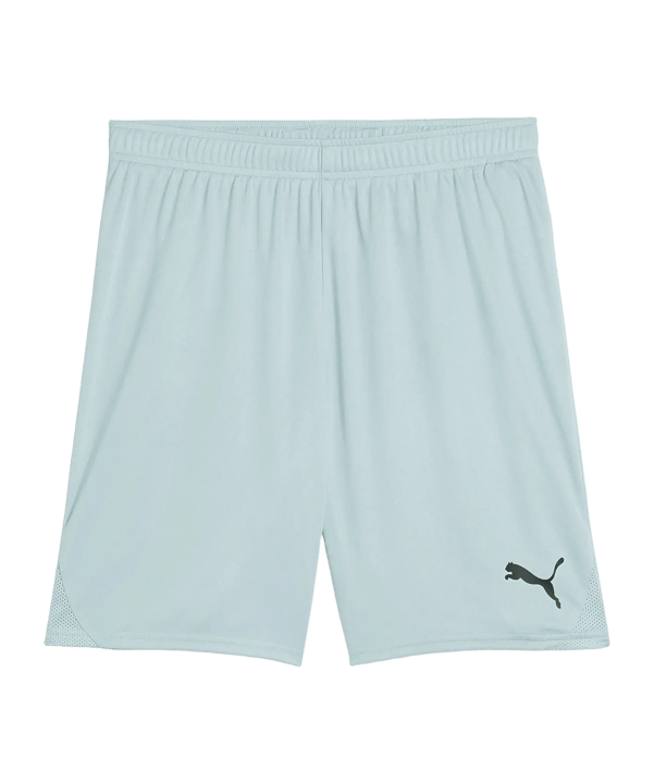PUMA TeamGOAL Short Grün F41 - gruen