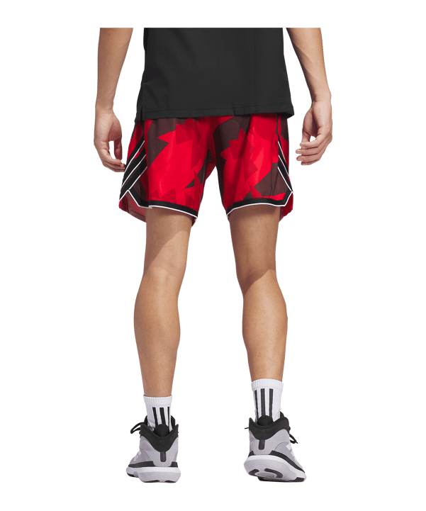 adidas Crazylite Aop 2 Short Lila - rot