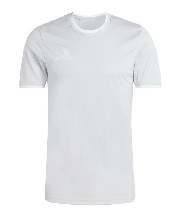 adidas Entrada 26 Trikot Grau - grau