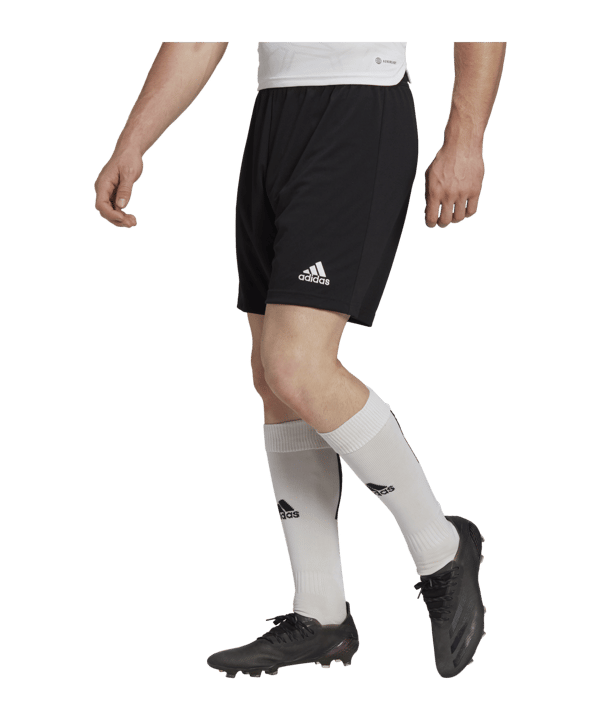 adidas Entrada 22 Short Schwarz - schwarz
