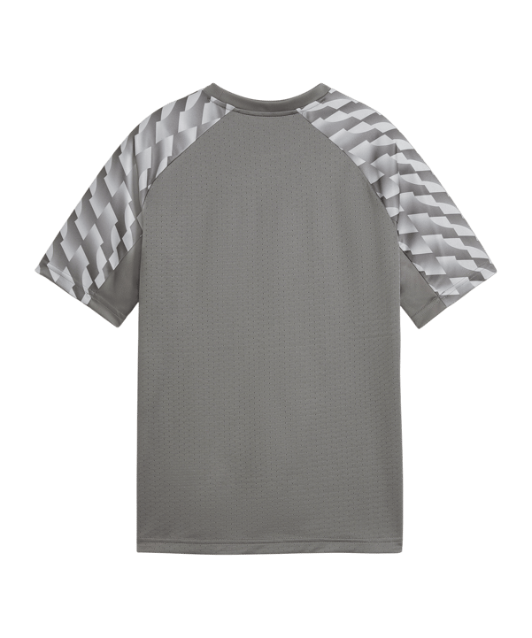 PUMA teamLIGA26 Trikot Kids Grau F13 - grau