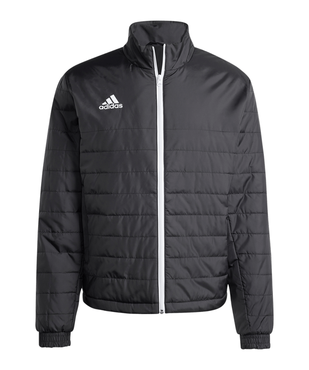 adidas Winterjacke Schwarz - schwarz