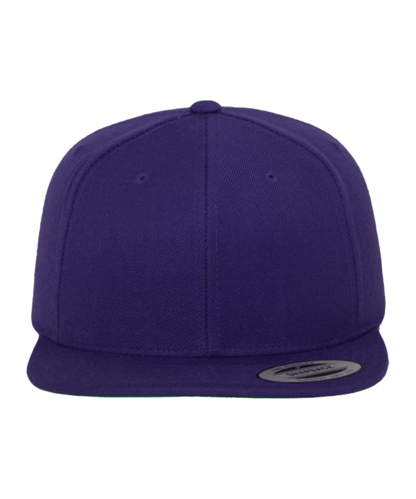 Merch Classic Snapback Cap Purple Green - rosa