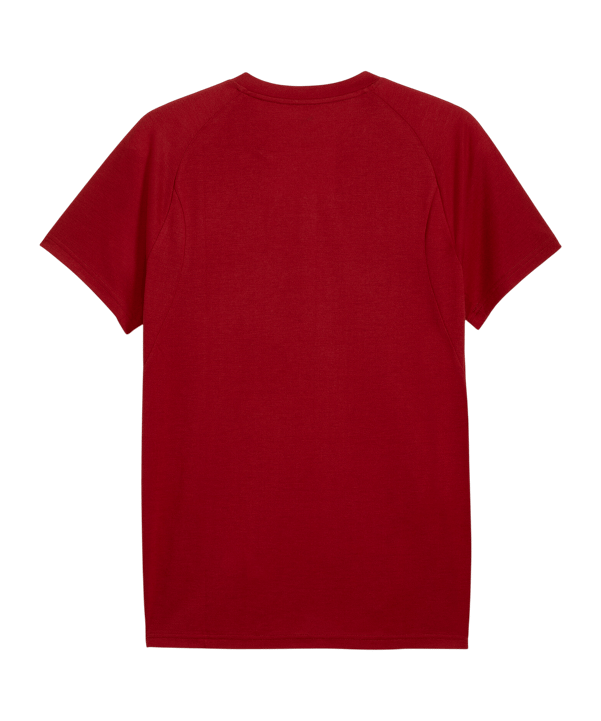 PUMA Galatasaray Istanbul Evostripe T-Shirt Rot F01 - rot