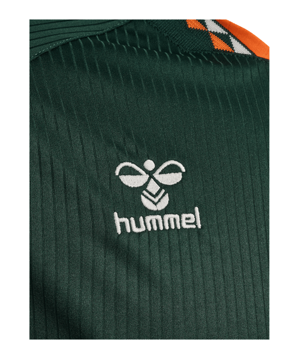 hummel SV Werder Bremen Trikot Away 2026/2027 Grün F6842 - gruen