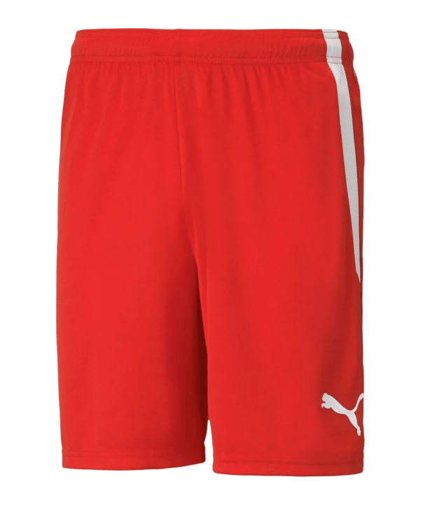 PUMA teamLiga Short Rot F01 - rot