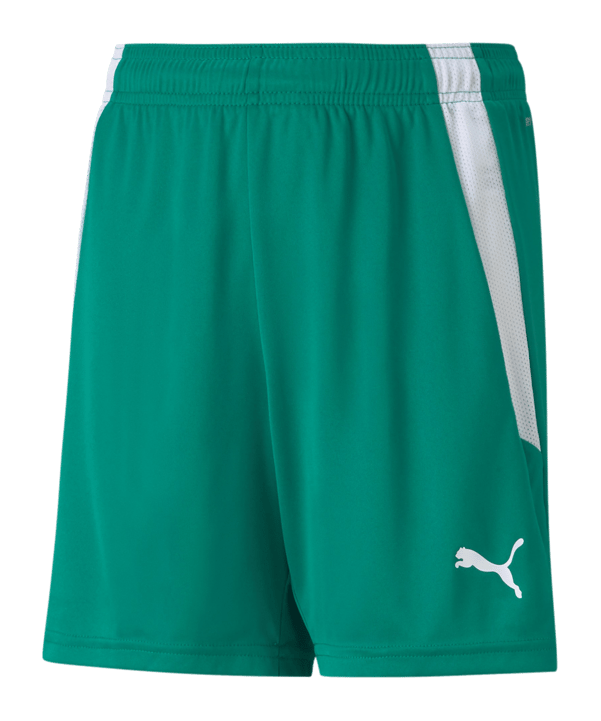 PUMA teamLIGA Short Kids Grün Weiss F05 - gruen