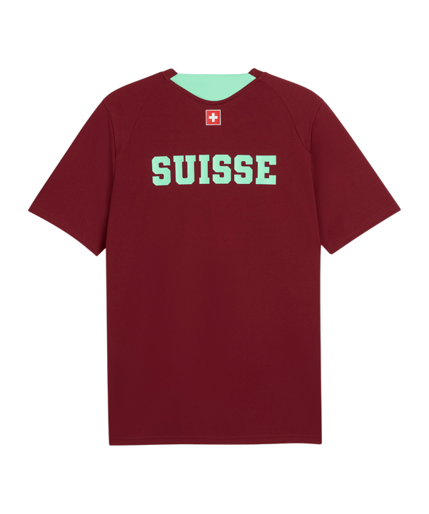 PUMA SFV Schweiz Trainingsshirt Rot F09 - rot