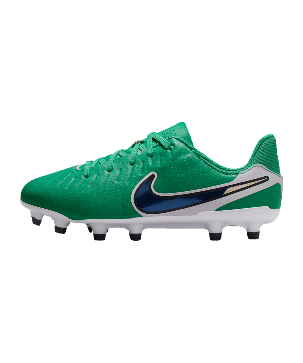 Nike Legend 10 Academy LV8 FG/MG Fear Nothing Kids Grün F300 - gruen