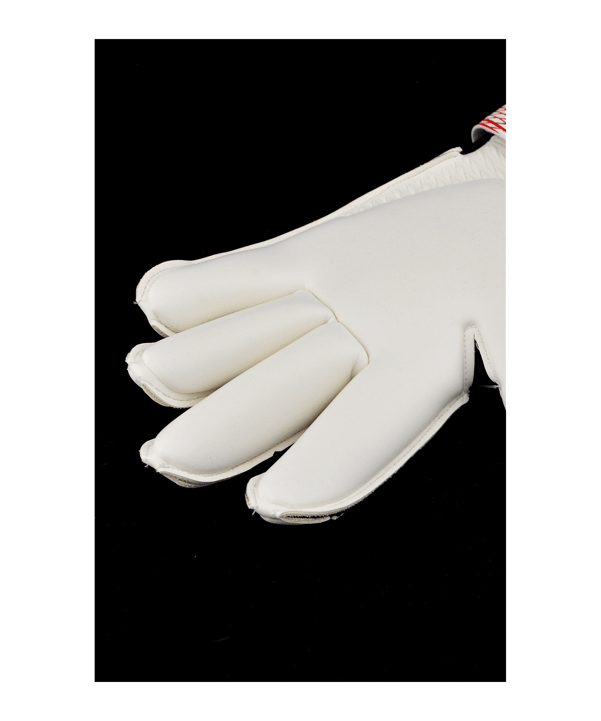 KEEPERsport Pro Elite GC Dominance Torwarthandschuhe Weiß - weiss