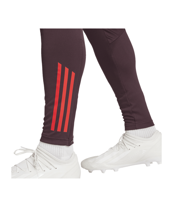 adidas FC Bayern München Trainingshose Rot - rot