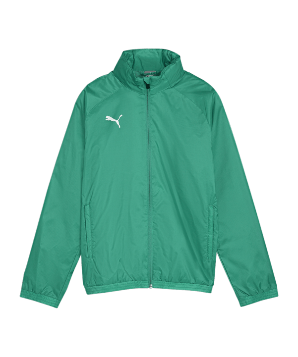 PUMA teamGOAL Allwetterjacke Kids Grün Weiss F05 - gruen