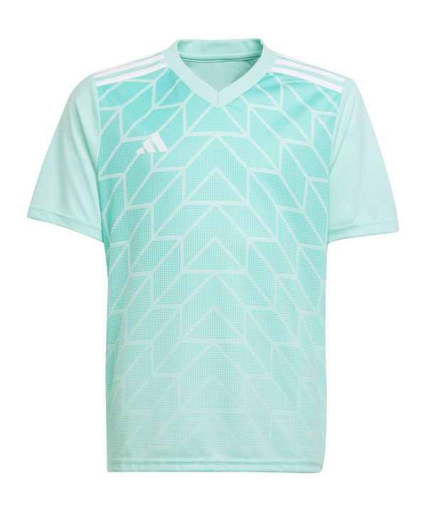 adidas Team Icon 23 Trikot Türkis - tuerkis