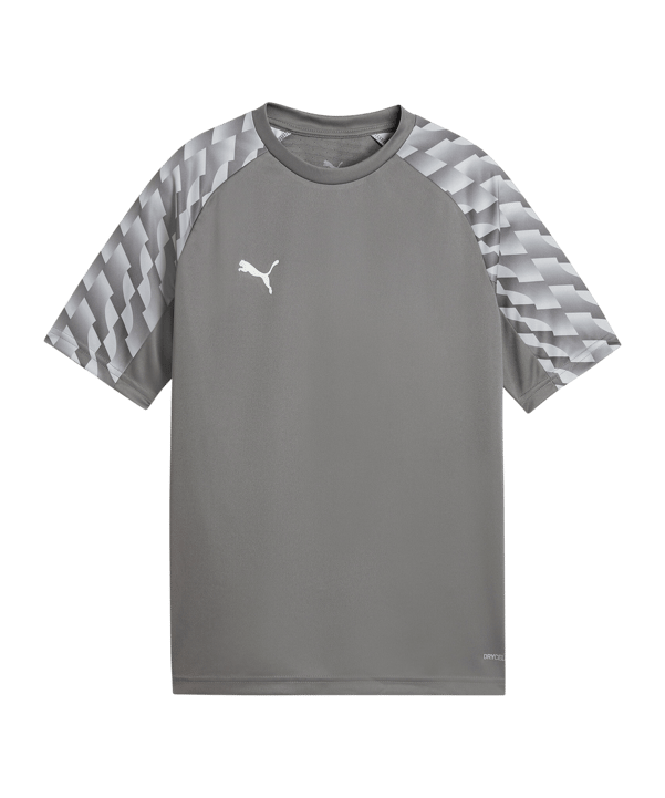 PUMA teamLIGA26 Trikot Kids Grau F13 - grau