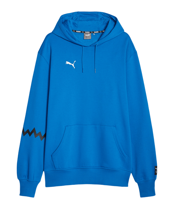 PUMA Hoops Team Hoody Blau F05 - blau