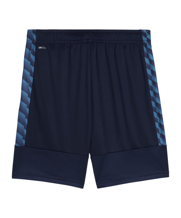 PUMA teamLIGA26 Training Short Blau F06 - blau