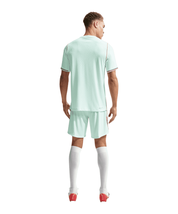 Nike FFF Frankreich Trikot Authentic Away WM 2026 Grün F394 - gruen
