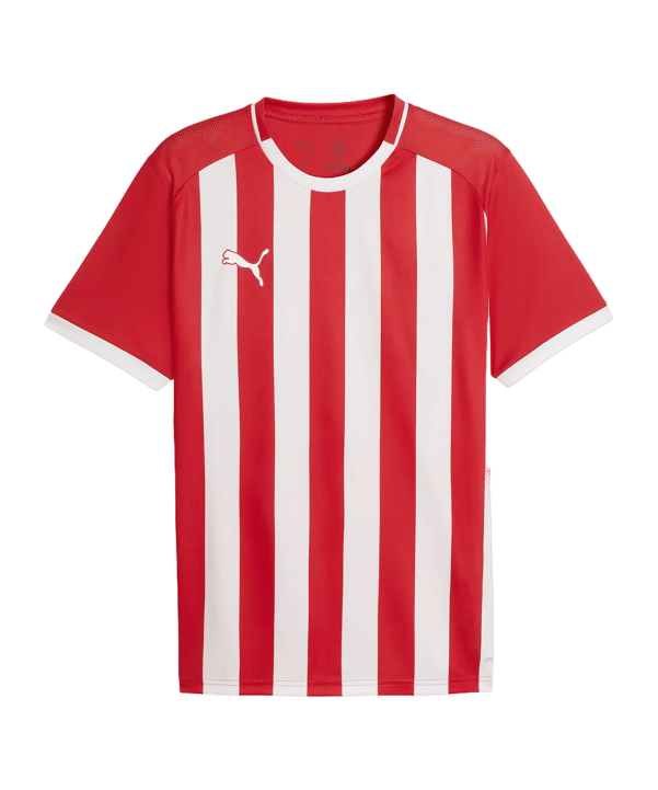 PUMA teamLIGA26 Striped Trikot Rot F01 - rot