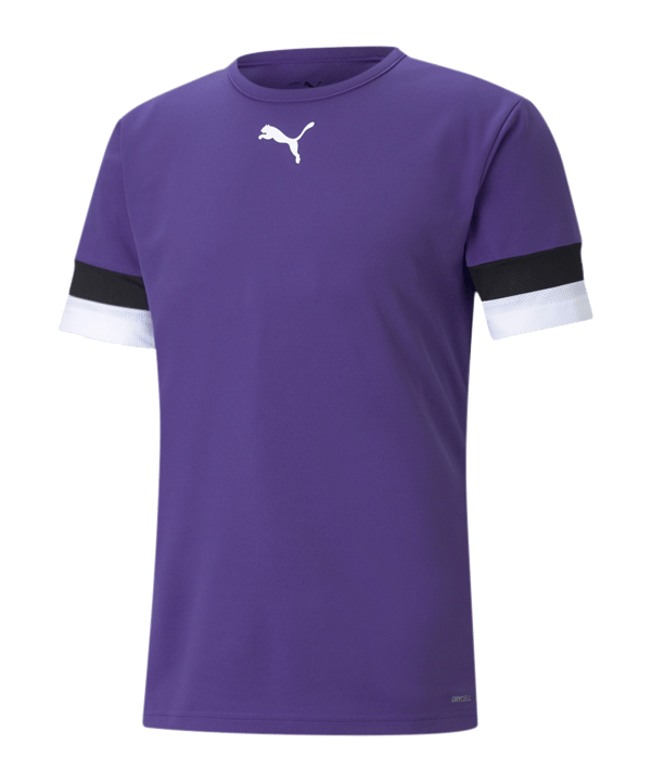 PUMA teamRISE Trikot Lila F10 - lila