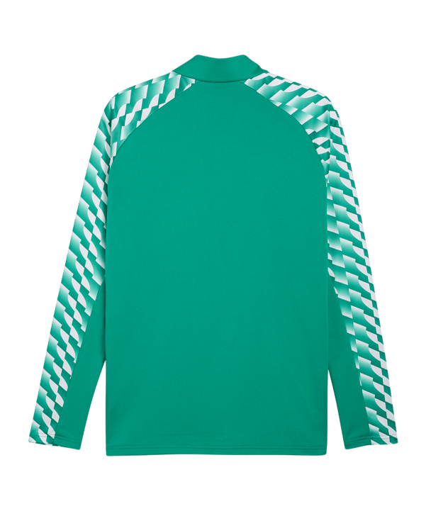PUMA teamLIGA26 Training 1/4 Zip Top Grün F05 - gruen