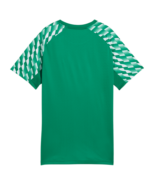PUMA teamLIGA26 Trikot Kids Grün F05 - gruen