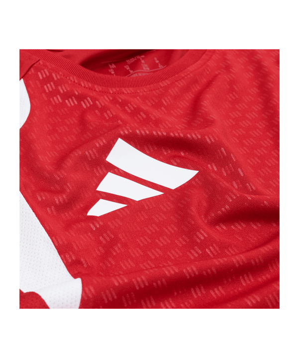 adidas Fortuna Düsseldorf Training Tanktop Rot - rot