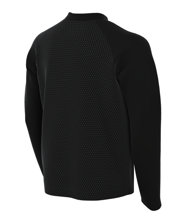 Nike Park VIII Trikot langarm Kids Schwarz F010 - schwarz