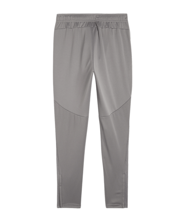 PUMA teamFINAL Trainingshose Grau F13 - grau