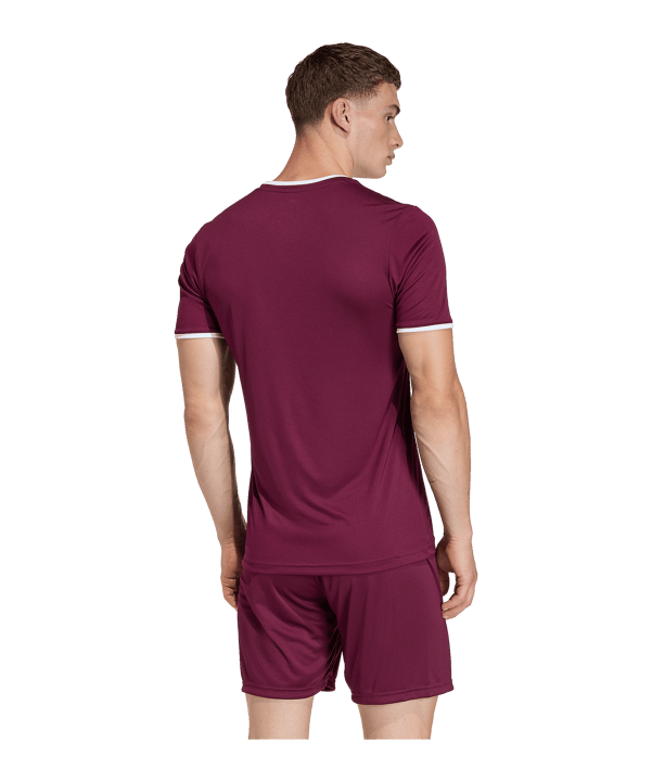 adidas Entrada 26 Trikot Rot - rot