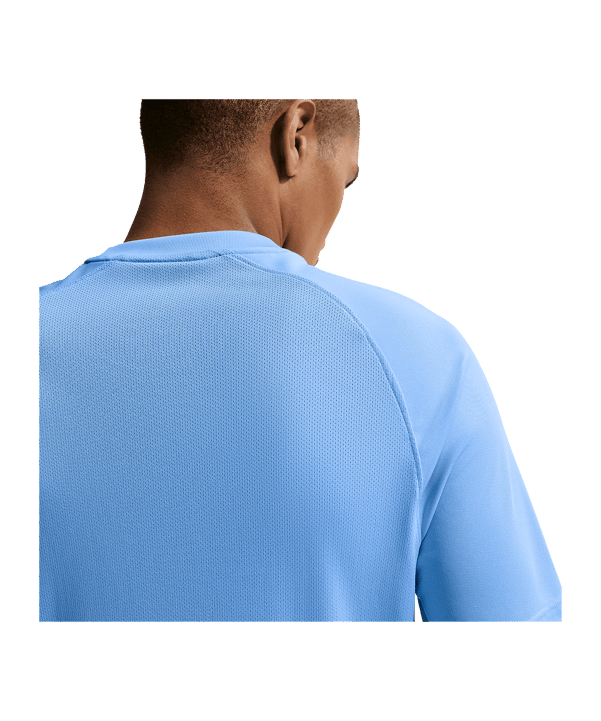Nike Park VIII Trikot Blau F412 - blau