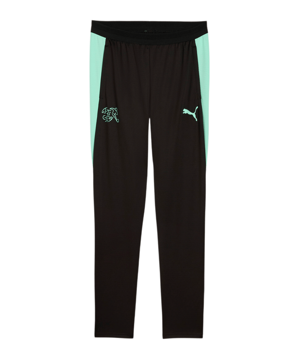 PUMA SFV Schweiz Trainingshose Schwarz F10 - schwarz