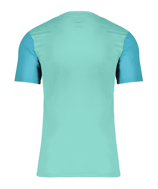Nike Trophy V Trikot Türkis F354 - tuerkis