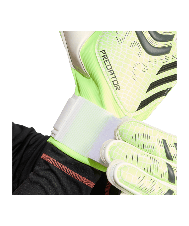 adidas Predator Match Torwarthandschuhe Grün - gruen