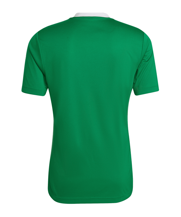 adidas Entrada 22 Trikot Grün - gruen