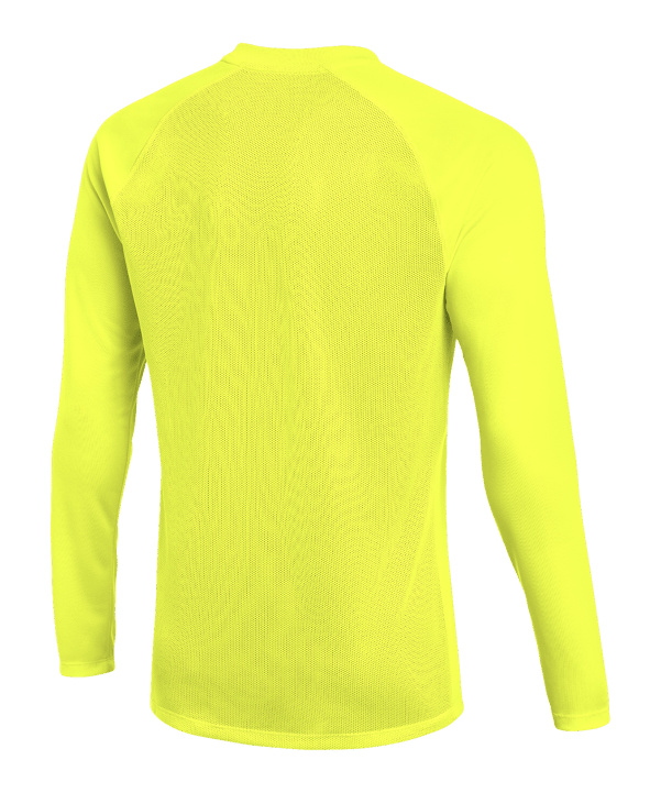 Nike Park VIII Trikot langarm Grün F702