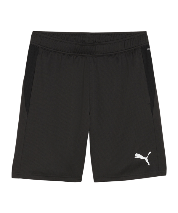 PUMA teamGOAL Training Shorts Schwarz F03 - schwarz