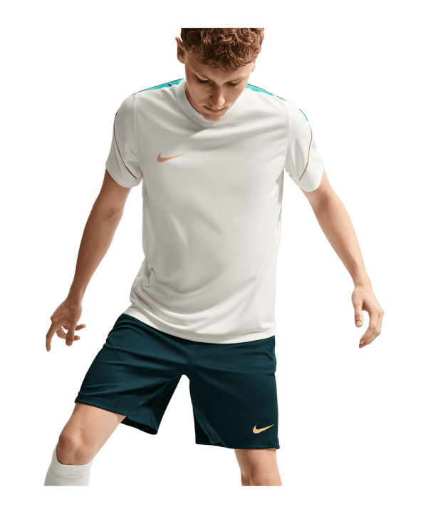 Nike Strike Trainingsshirt Weiß F133 - weiss