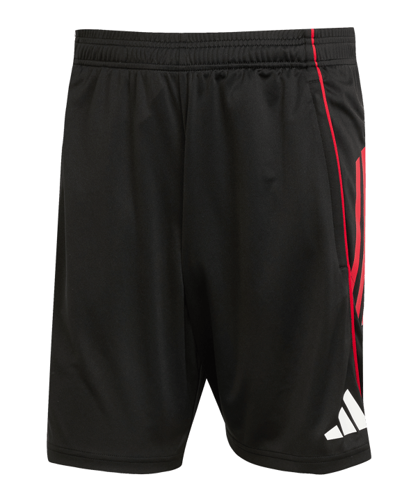 adidas Ajax Amsterdam Training Short Schwarz - schwarz
