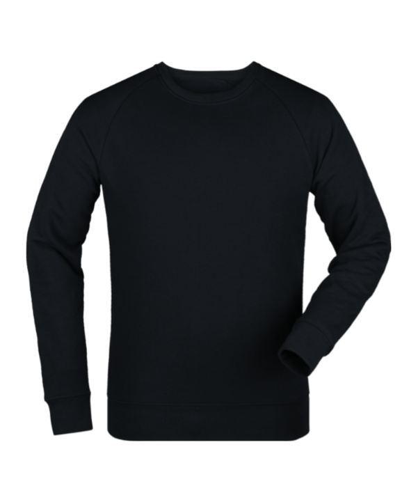Merch Roller Sweatshirt Black FC002 - schwarz